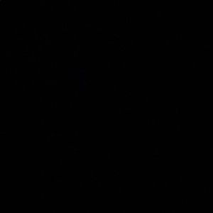 Meet your Posher, Alan